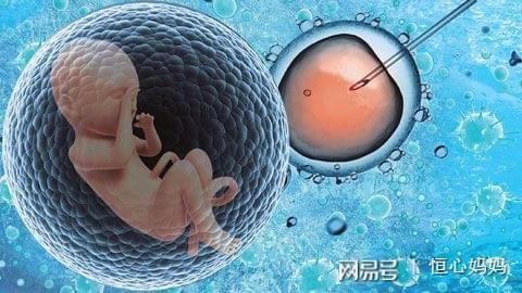 陳明瑜